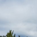 대운추어탕 이미지