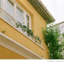 프린시스 이미지