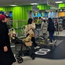 마켓올리 이미지