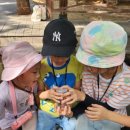 수봉공원 (유아숲체험원) 이미지