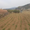 장평3로 이미지