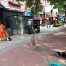 등소평 | 250608~250611 중국 시안 여행 후기