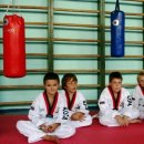 국기태권도 이미지