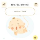 조이마망