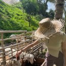 솔염소농장 이미지