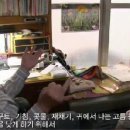 스페셜독 이미지