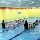 월봉초교 이미지