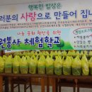 적십자사랑팡 Daum카페
