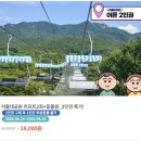 외국인 친구와 다녀 온 봄날 서울 근교 나들이, 서울대공원 스카이리프트 후기｜내돈내산, 코스, 가격...