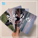 세븐일레븐 경주노서중앙점 | [서울/을지로] 색감 예쁜 코닥 필름 카메라 현상소 &#34;중앙칼라&#34;ㅣ주말 무인박스 스캔, 인화 후기