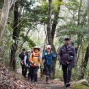 해남군-14 이미지