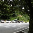 홍류동 화장실 이미지