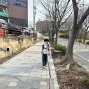 여수시립쌍봉도서관 | [여수시립쌍봉도서관]초등학생 책 읽기 프로젝트/쌍봉도서관 책꾸러미 대출