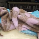 잡화천국 | [성수] 합리적 가격으로 만족스러운 쇼핑이 가능한 패션 잡화의 천국, <NYUNYU> 방문 후기