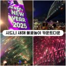 비둘기공원 화장실 | [호주] 시드니 2025 새해 불꽃축제 카운트다운 후기 (명당, 꿀팁, 준비물)