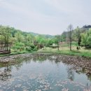 황학산수목원 이미지