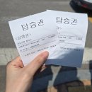 하늘공원 | 서울 벚꽃 어디 갈지 고민하다가 하늘공원 다녀온 후기 🌸 맹꽁이열차 타고 올라간 봄날