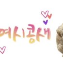 똘망똘멍 이미지