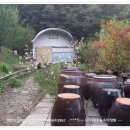 산속의 아침 이미지