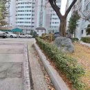 가람마을3단지 동문아파트 | 가람마을3단지동문아파트 사례로 보는 2021년 영끌의 현재, 그리고 선택의 기로.