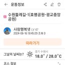 안다미로넷