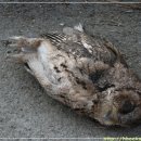 산업도로 이미지