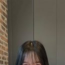 성운코아 이미지