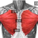 JP PT Studio 이미지