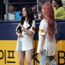 다연 이미지