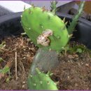 황골농장 이미지