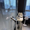 죽전1길 | 대구 죽전역 헬스장 추천 옐로우짐 죽전동 PT 후기｜인바디부터 어깨·상체 집중관리까지 솔직 리뷰