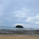 섬나라굼