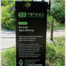 5월31일 장성 축령산{편백나무 숲}산행안내 이미지