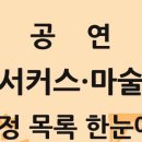 북구 청소년수련관 상상마루 공연장 | 전국 서커스·마술 공연 목록 26년4월5일-26년4월18일