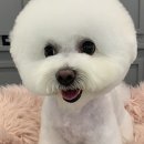 트리밍매직