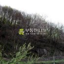 파주시청소년수련장 이미지