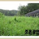 선동목장 Daum카페
