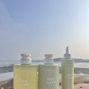 소나무어린이집 | 자주(JAJU) 소나무 딥클린 헤어루틴신제품 사용 후기