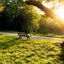 삼대한의원 이미지