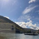 밸리민박 | 포르투갈 도우루밸리 와이너리 투어 후기(2)