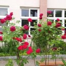 수진 태양광 이미지