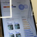 분당-347 | 분당 탈모관리 셀비오 분당점 브레라인 헤드스파 솔직후기