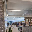 블루25 진성 이미지