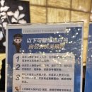 006-조리-006 | 2025년 중국 불산 포산 순더 춘절 여행 맛집 호텔 후기1