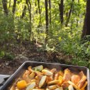 설매재자연휴양림 야영장 이미지