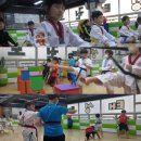 올바른 성장 태권도 이미지