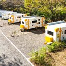 성수산 왕의숲 국민여가캠핑장 이미지