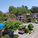 골드하우스 펜션 이미지