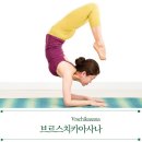 서초대로29길 10 이미지