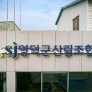 영덕군산림조합